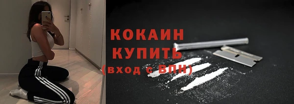 прущие грибы Баксан