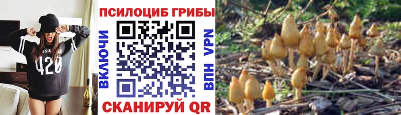 Галлюциногенные грибы Psilocybine cubensis  мориарти состав  Черепаново 